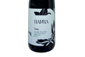 Barba, Docg Montepulciano d'Abruzzo Colline Teramane Yang 2016