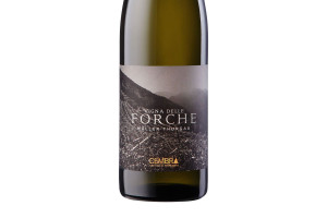 Cembra, Doc Trentino Müller Thurgau Vigna delle Forche 2016