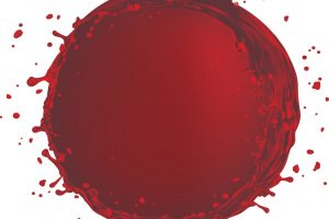 Il calo produttivo della vendemmia 2019 non spaventa il vino italiano. Altre le priorità