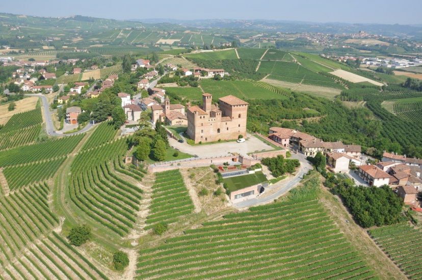 La collezione ampelografica di Grinzane Cavour
