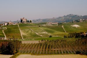 “Food and Wine Tourism Forum” 2024, nuovo format itinerante nelle Langhe, Roero e Monferrato