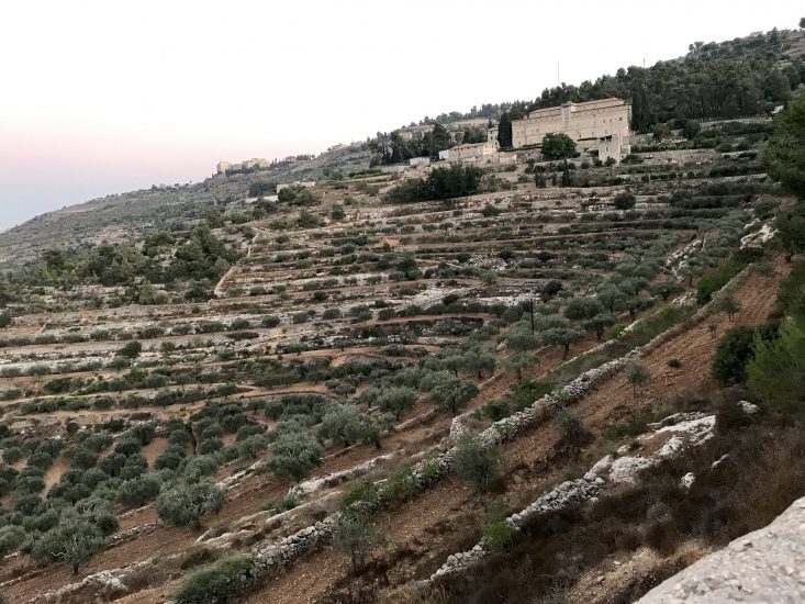 A metà tra Israele e Palestina, la cantina di Cremisan