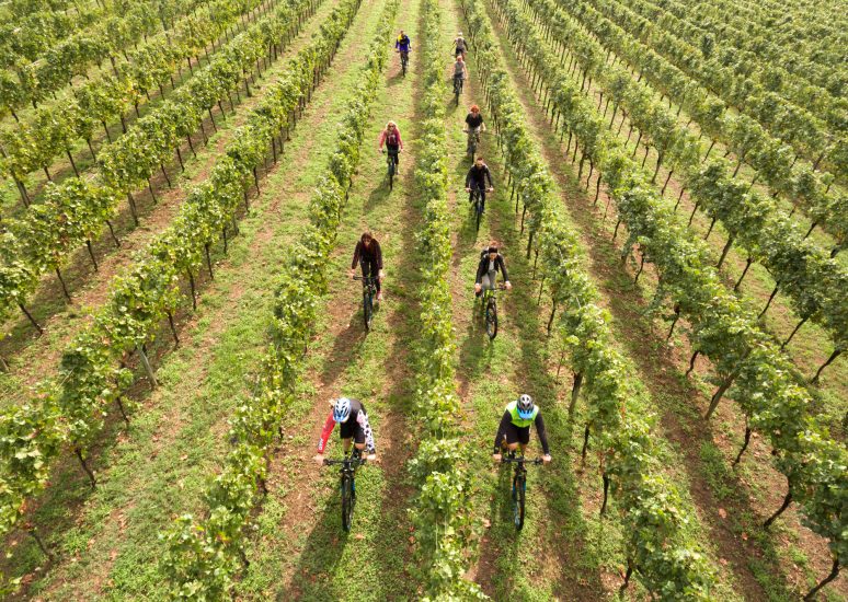 Il 14 e 15 settembre torna il Festival Franciacorta in Cantina