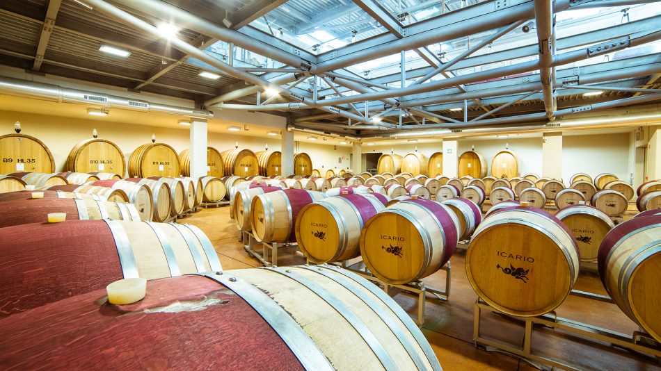 La barricaia di Icario