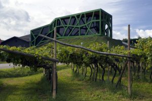 Weinwirtschaft: Alto Adige vertice della cooperazione del vino, Tramin e Terlano al top