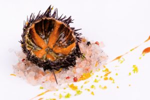 Uova di Riccio di Mare