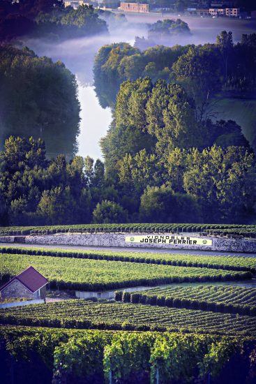 I vigneti di Joseph Perrire in Champagne