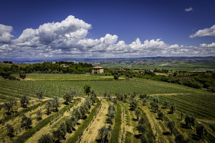 La Tenuta Greppo Biondi Santi circondata dai vigneti in cui nell’Ottocento è nato il Brunello