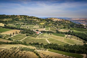 Ecco i 22 “Tastevin”, il meglio, Regione per Regione, della Guida Ais Vitae 2021