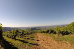 Passi compiuti e passi da compiere