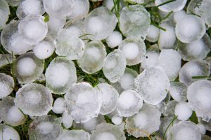 Grandinate “estreme” sempre più frequenti in Italia. Ma non sempre, in vigna, lasciano il segno