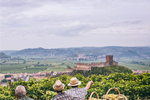 I Quaderni di WineNews - Il Soave