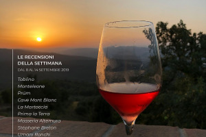 I Vini di WineNews - N. 66