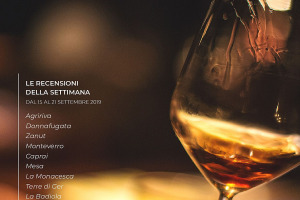 I Vini di WineNews - N. 67