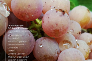 I Vini di WineNews - N. 68