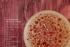 I Vini di WineNews - N. 69