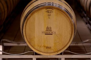 I 120 anni di Sella & Mosca, griffe di Sardegna nata come vivaio che oggi punta sulla qualità I 120 anni di Sella & Mosca, griffe di Sardegna nata come vivaio che oggi punta sulla qualità