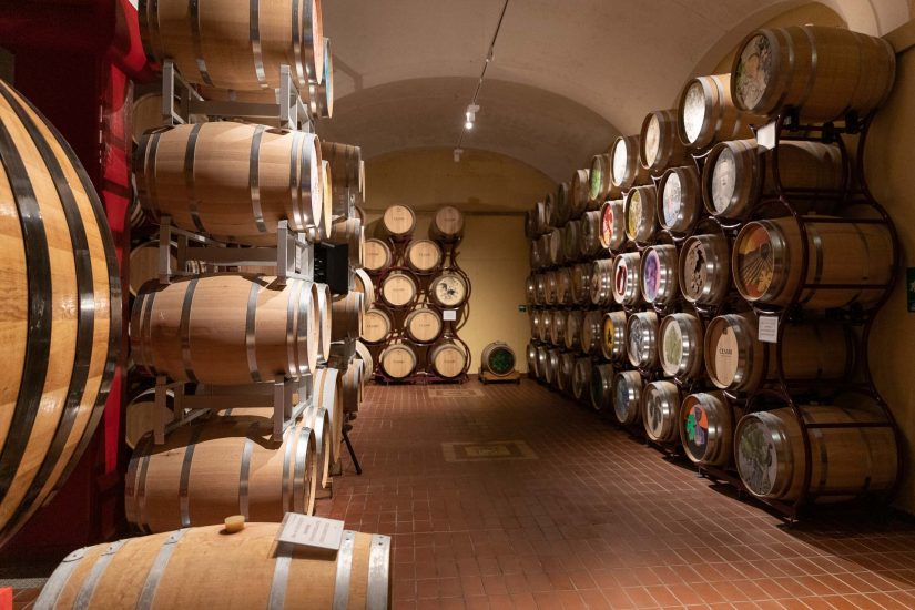 Nella cantina di Cavaion Veronesi di Umberto Cesari, l’arte incontra il vino direttamente sulle barriques