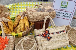 Coldiretti: sale a 88 miliardi il valore dell&rsquo;economia circolare in Italia