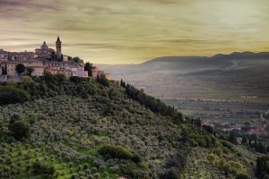 Per valorizzare i territorio dell’“oro verde” italiano nasce il Movimento Turismo dell’Olio