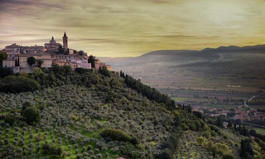 Nasce il Movimento Turismo dell’Olio, per valorizzare i territorio dell’“oro verde” italiano
