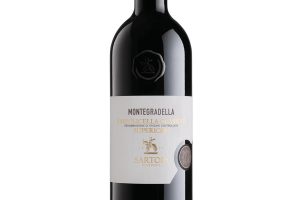 Sartori, Doc Valpolicella Classico Superiore Vigneti di Montegradella 2013