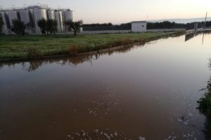 Atto vandalico alla Cantina Sociale San Severo in Puglia, sversati 25.000 ettolitri di vino