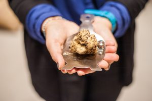 Il via col botto della Fiera del Tartufo Bianco d’Alba n. 89, in scena da ieri al 24 novembre
