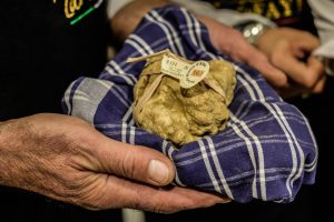 Ad Alba va in scena la Fiera del Tartufo Bianco, Modena diventa capitale della cucina per bambini