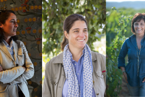 Albiera Antinori, Priscilla Incisa della Rocchetta e Cinzia Merli alla guida di Bolgheri