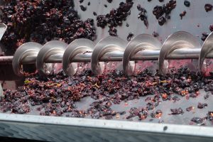OIV estimates worldwide production of wine between 258 and 267 million hectoliters (-10% on 2018)