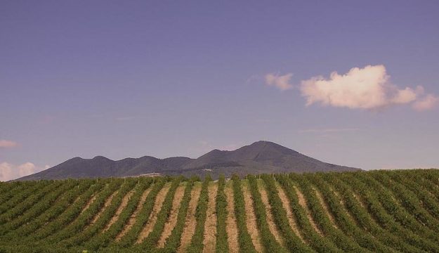 Vulture is “Città Italiana del Vino” 2026: an award to its millennial culture