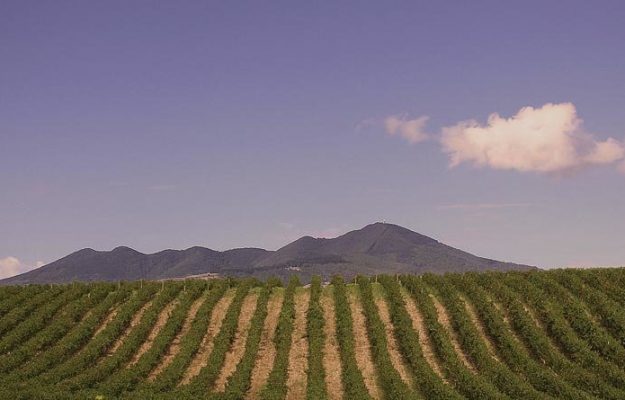 AGLIANICO, BASILICATA, GRUPPO ITALIANO VINI, RE MANFREDI, vino, Italia