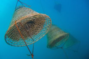 &ldquo;Vinum Insulae&rdquo;, miglior cortometraggio al &ldquo;Festival International de films sur la vigne et le vin&rdquo;