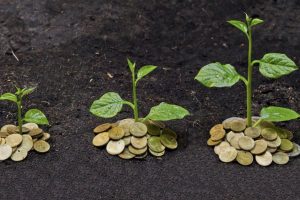 Psr, a rischio disimpegno automatico al 31 dicembre 444 milioni di euro per l’agricoltura italiana