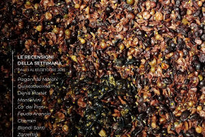 I Vini di WineNews - N. 71