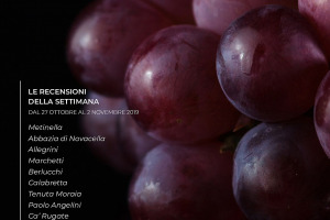 I Vini di WineNews - N. 73