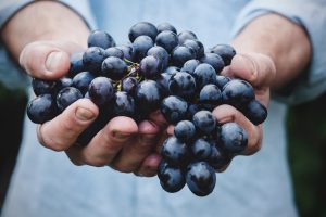 Sostenibilità ambientale: la filiera del vino verso una certificazione unica
