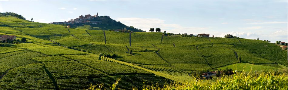 La cantina di Batasiolo della famiglia Dogliani a La Morra, nelle Langhe