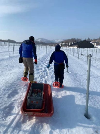 I vigneti coperti di neve di Camel Farm Winery in Giappone