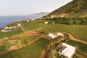 Viaggio nella viticoltura (e nell’agricoltura) eroica delle Isole Eolie, tra Malvasia e non solo Viaggio nella viticoltura (e nell’agricoltura) eroica delle Isole Eolie, tra Malvasia e non solo