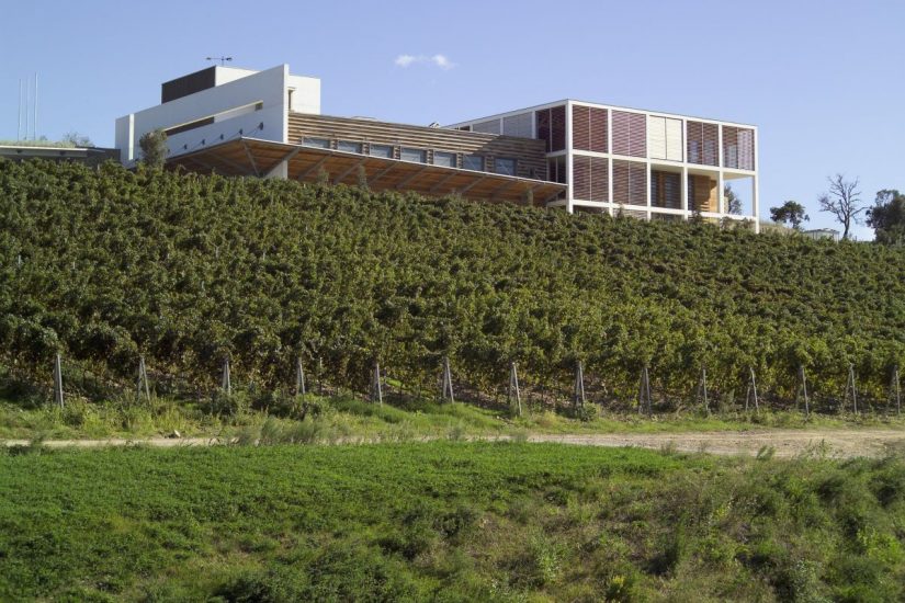 La cantina di Colle Massari