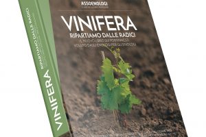 “Il cervello della vite sono le radici, da qui si deve ripartire”: così il professor Attilio Scienza