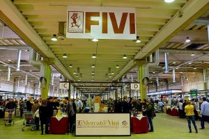 Il valore, la mission e gli obiettivi dei piccoli vignaioli d&rsquo;Italia, oggi e domani, secondo la Fivi