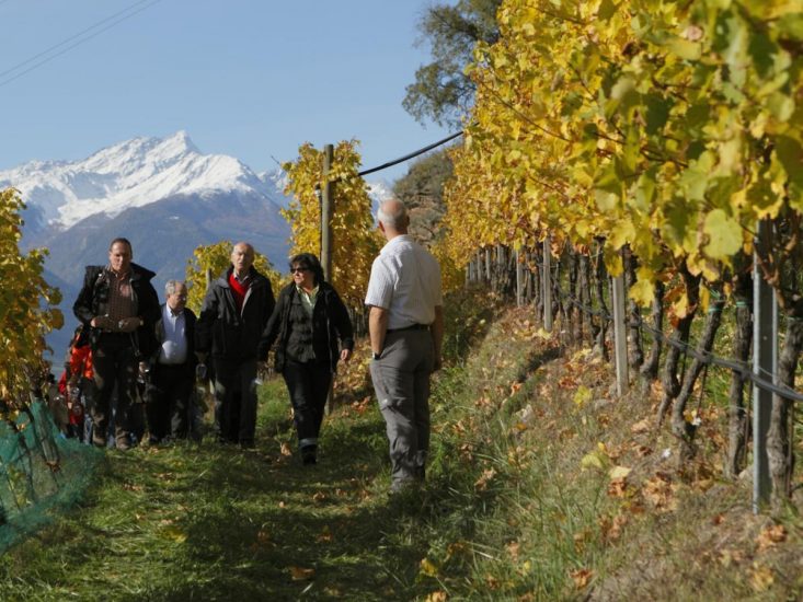In agenda Architetto in Cantina, Settimana della Cucina Italiana nel Mondo e le Giornate del Riesling