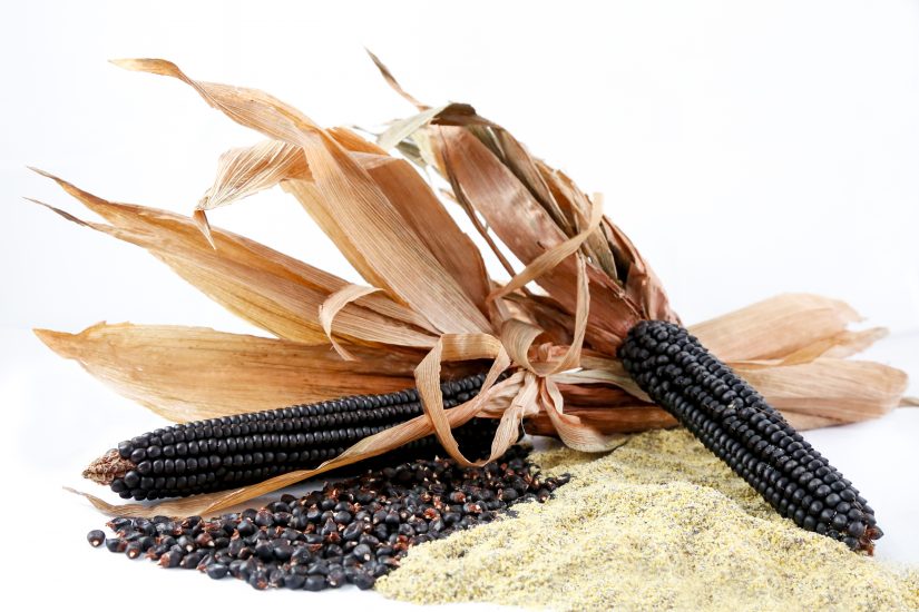 BonTà 2019, il mais Corvino e l’abito gourmet: tante curiosità e innovazioni