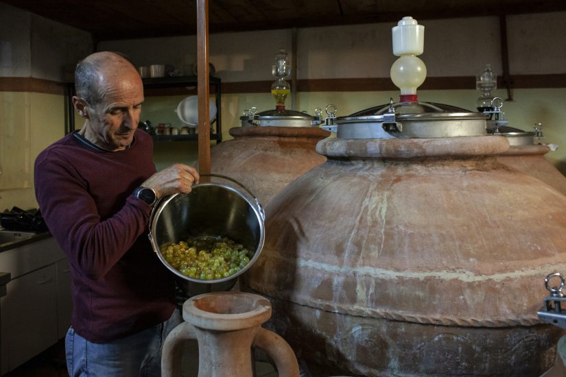 Nesos, il vino marino ottenuto da Ansonica vinificata come 2.500 anni fa