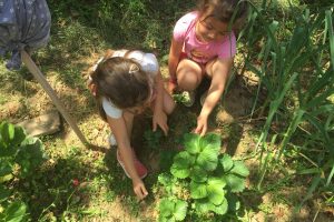Il buon esempio dei bambini italiani, a scuola nell’orto per cambiare il mondo. A partire dal clima