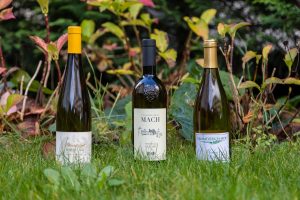 Fondazione Mach, San Michele Appiano, Himmelreich-Hof: le firme dei migliori Riesling d’Italia Fondazione Mach, San Michele Appiano, Himmelreich-Hof: le firme dei migliori Riesling d’Italia
