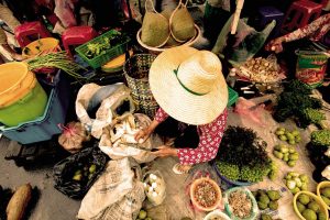 Oltre 260 eventi nel mondo per celebrare il Manifesto di Slow Food a 30 anni dalla firma di Parigi